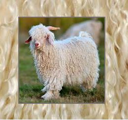 Mohair