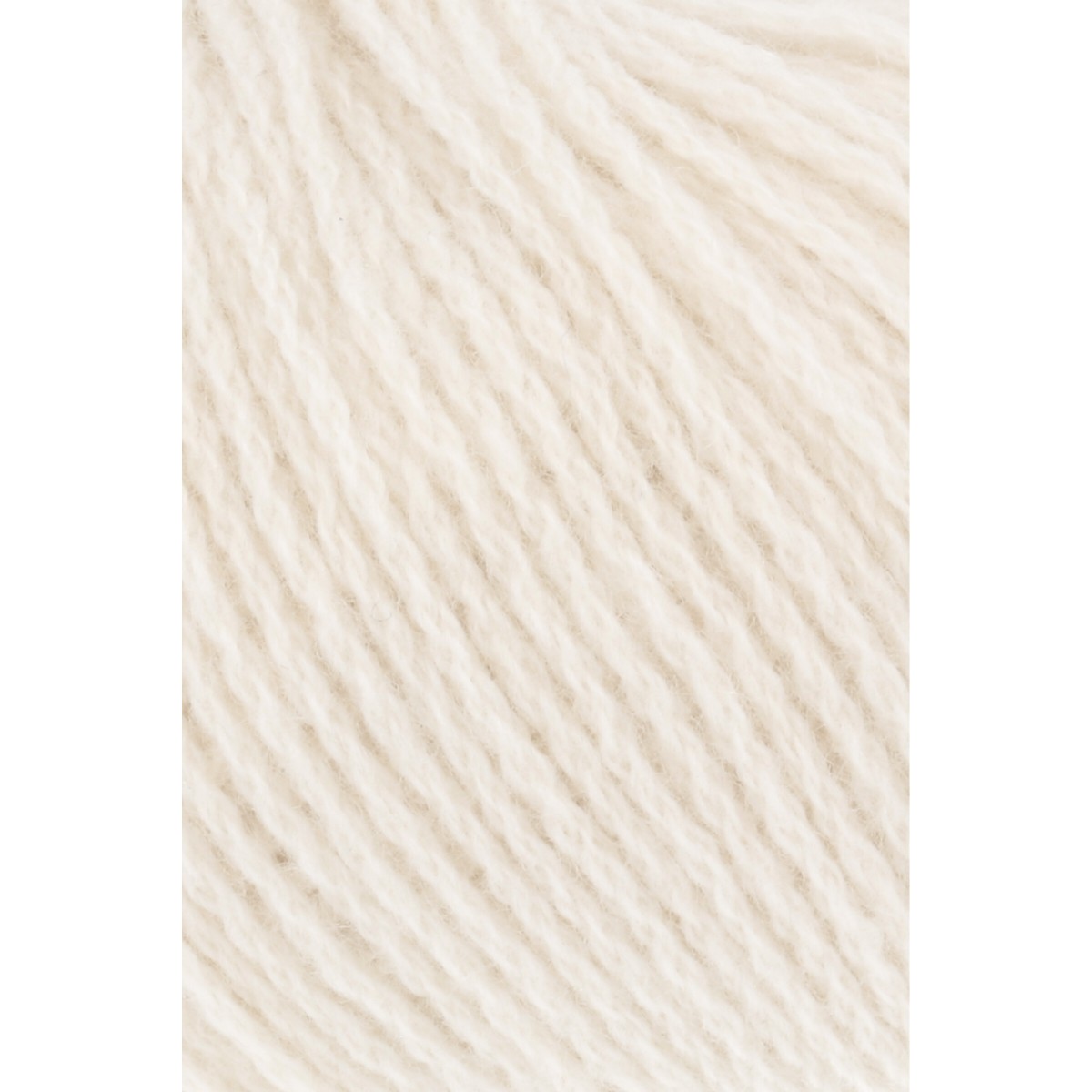 cashmere premium