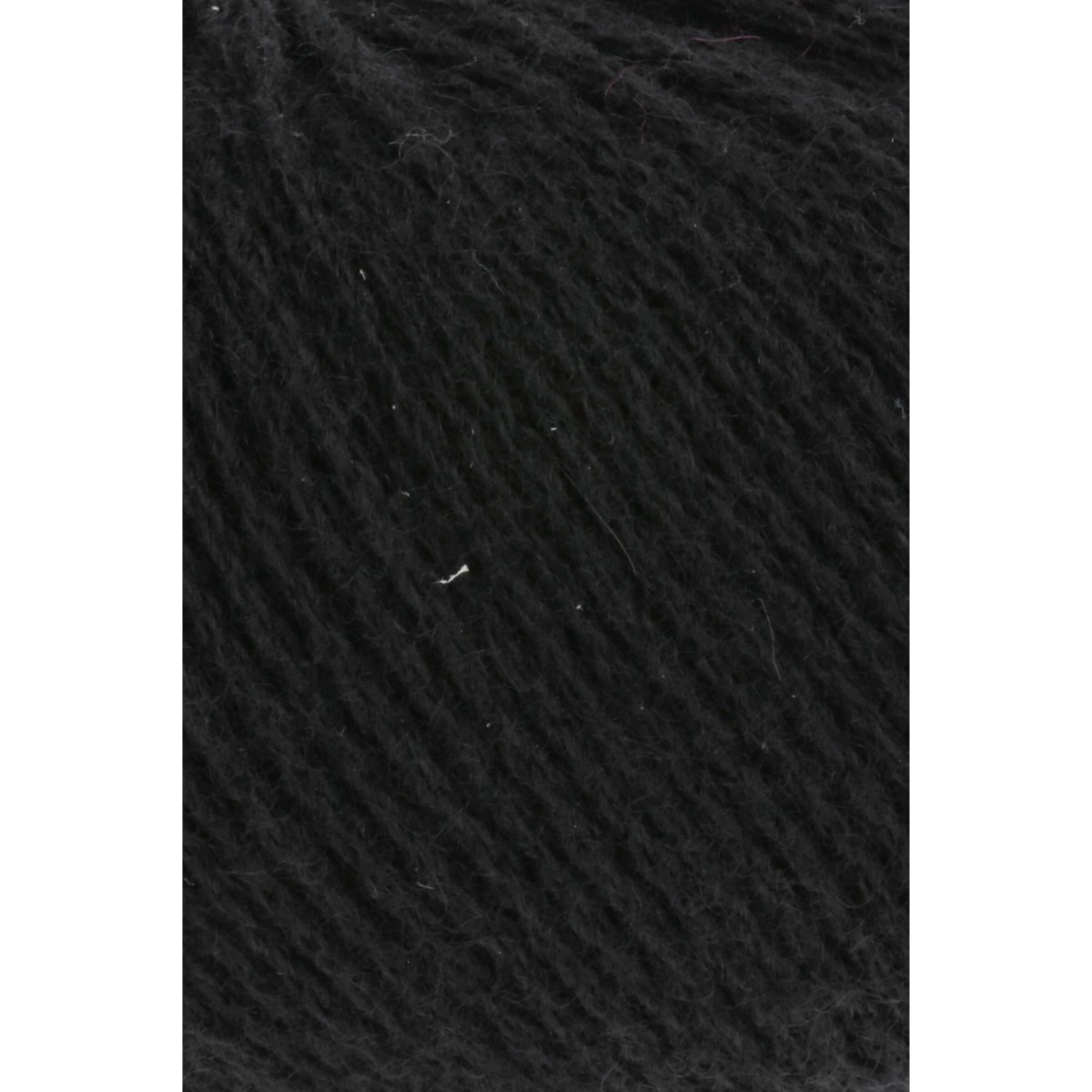 cashmere premium