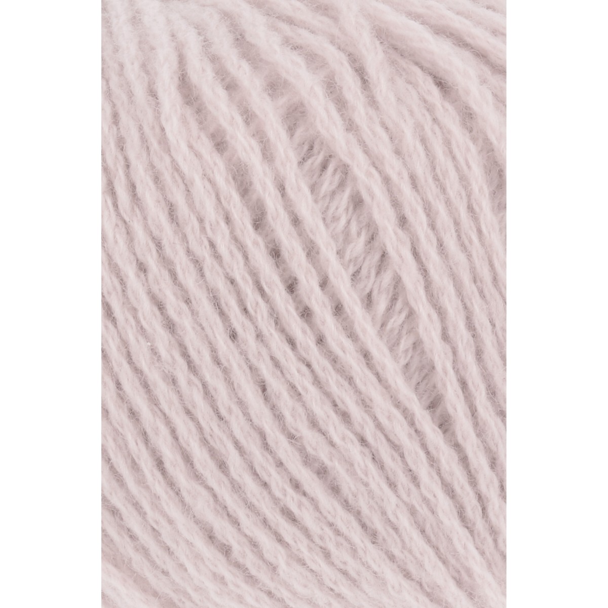 cashmere premium