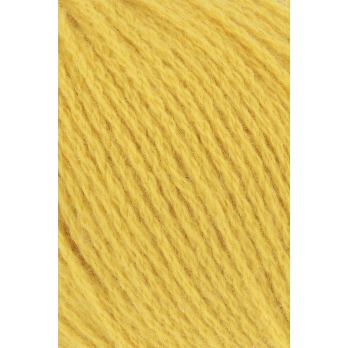 cashmere premium