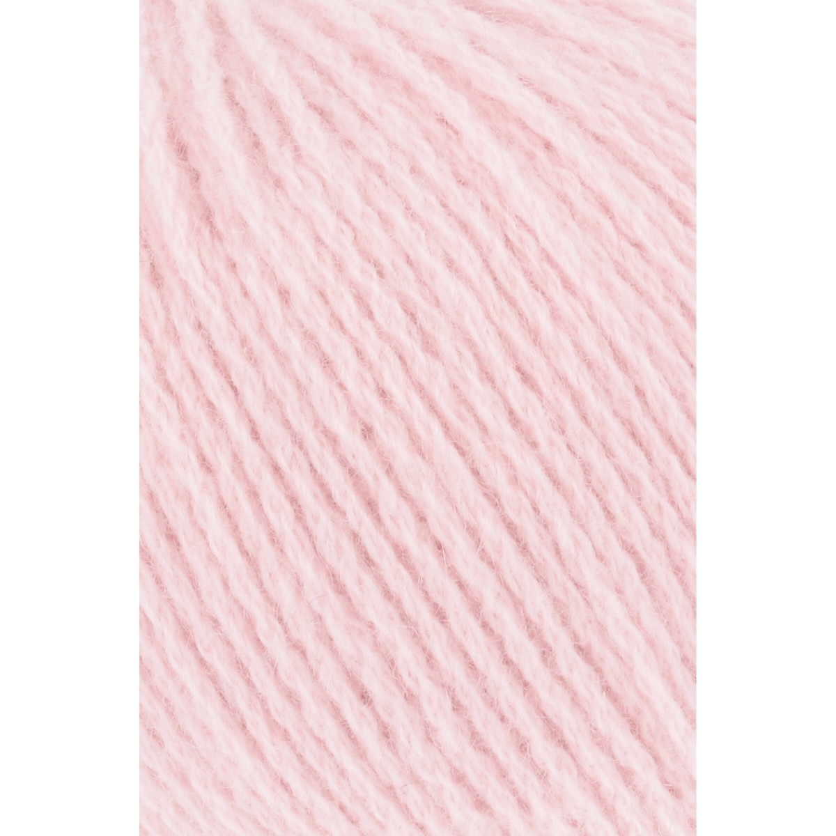 cashmere premium