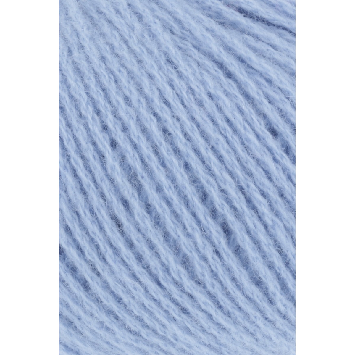 cashmere premium