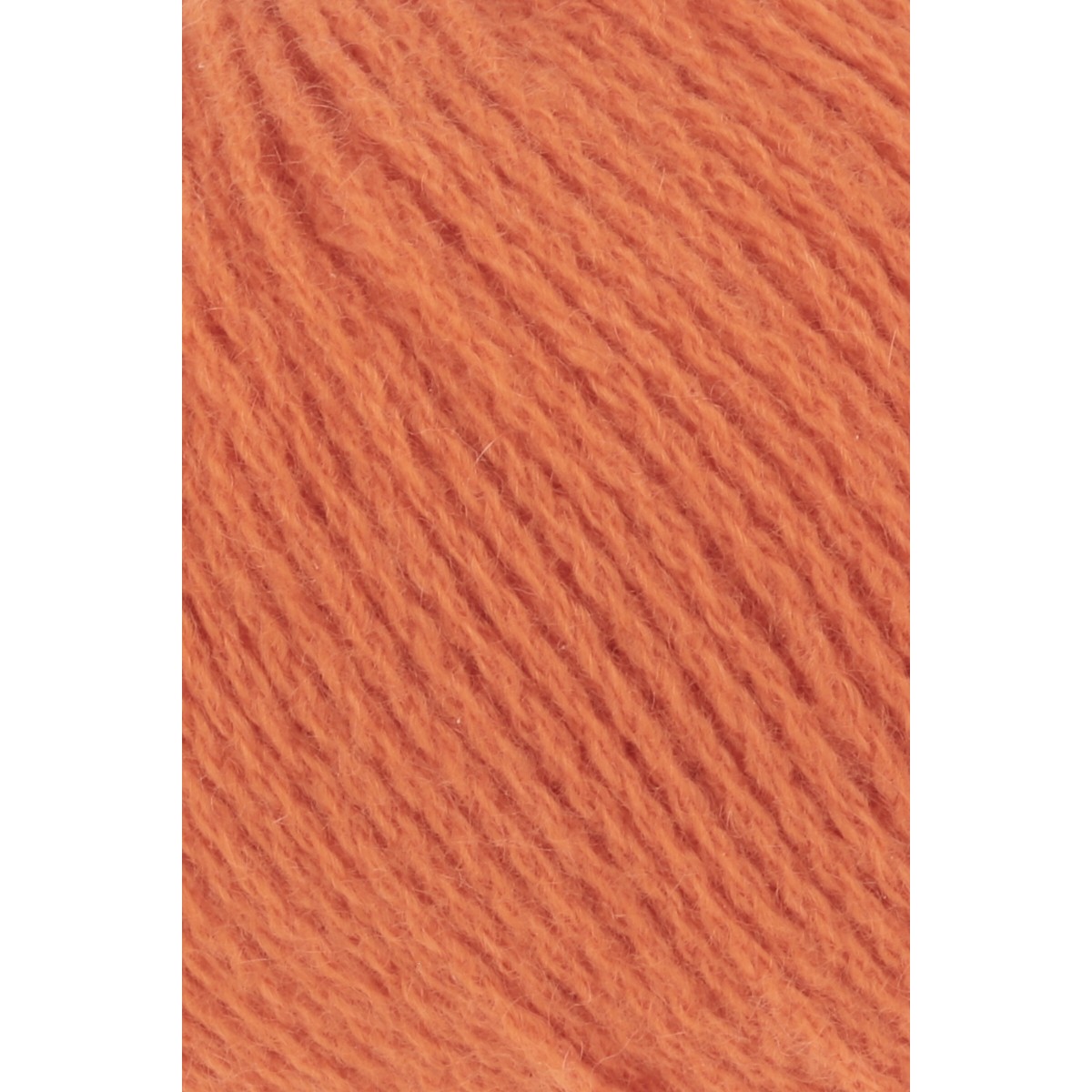 cashmere premium