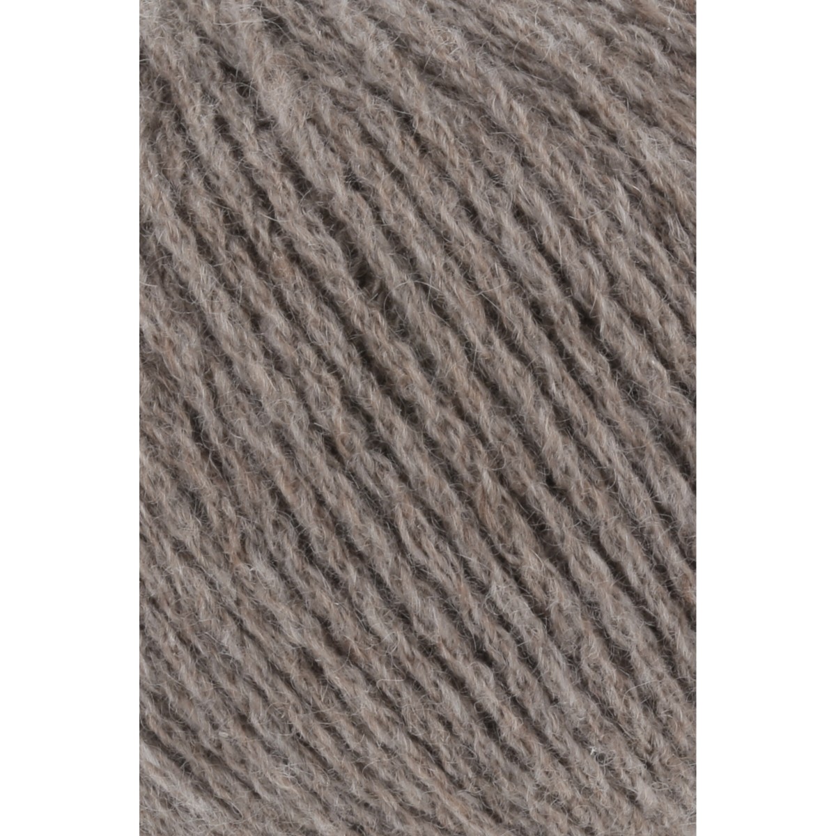 cashmere premium