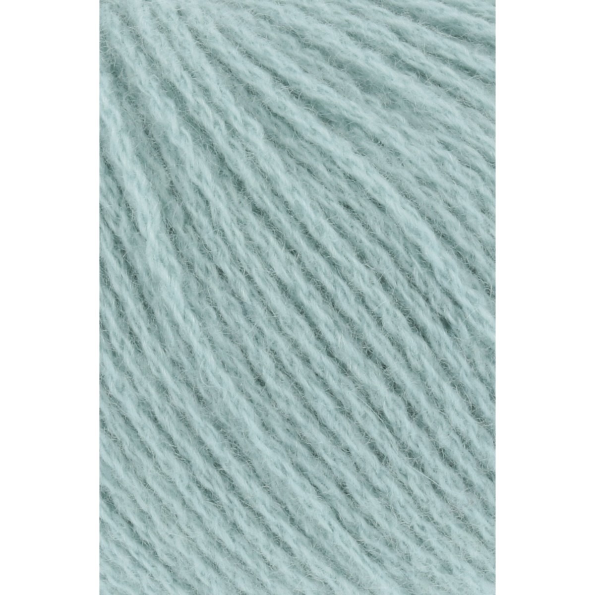 cashmere premium