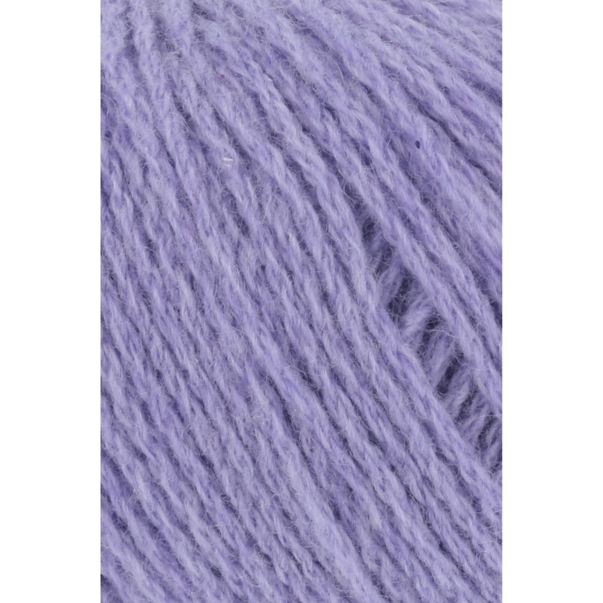 cashmere premium