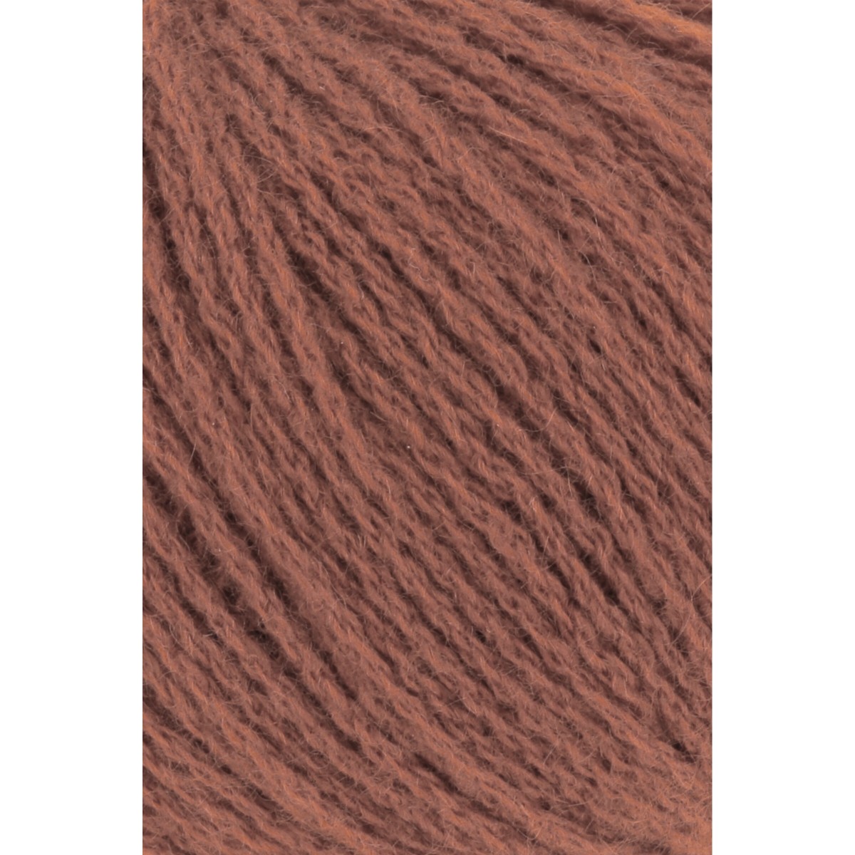 cashmere premium
