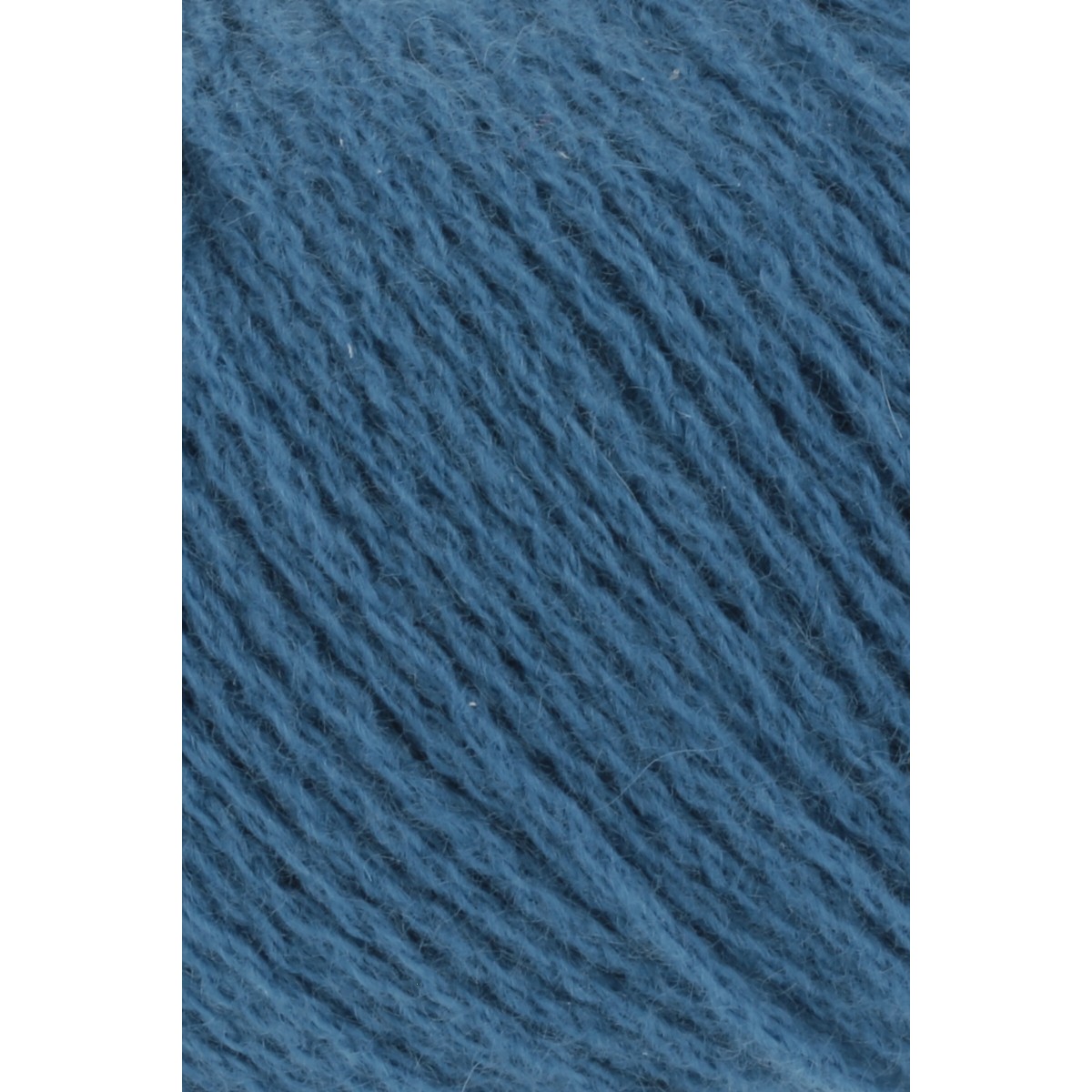 cashmere premium