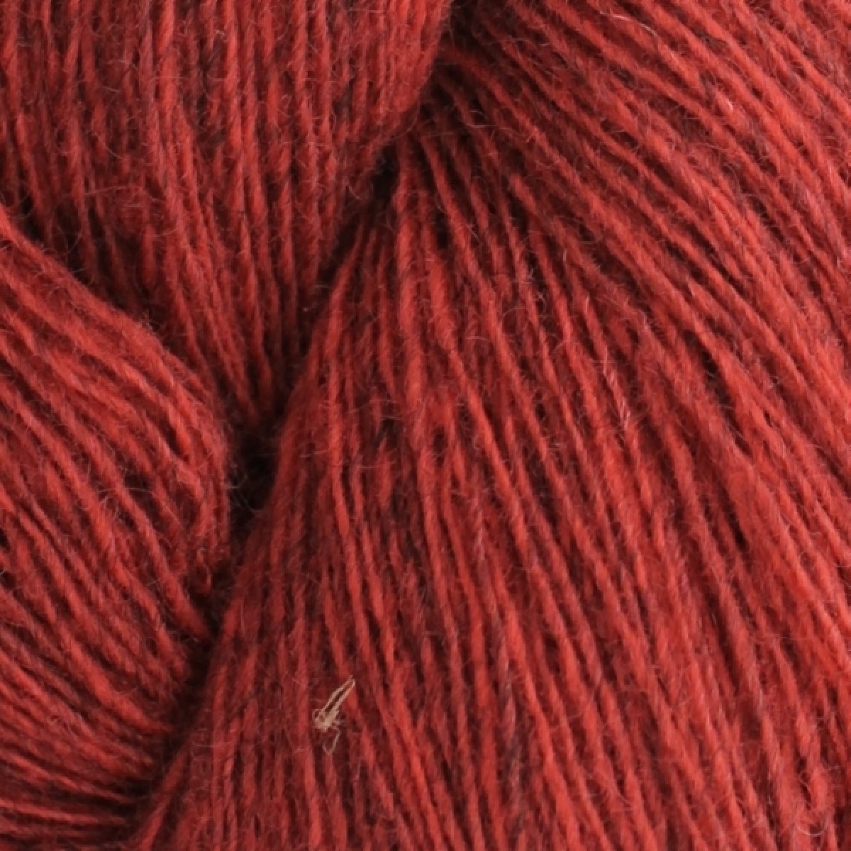 Spinni