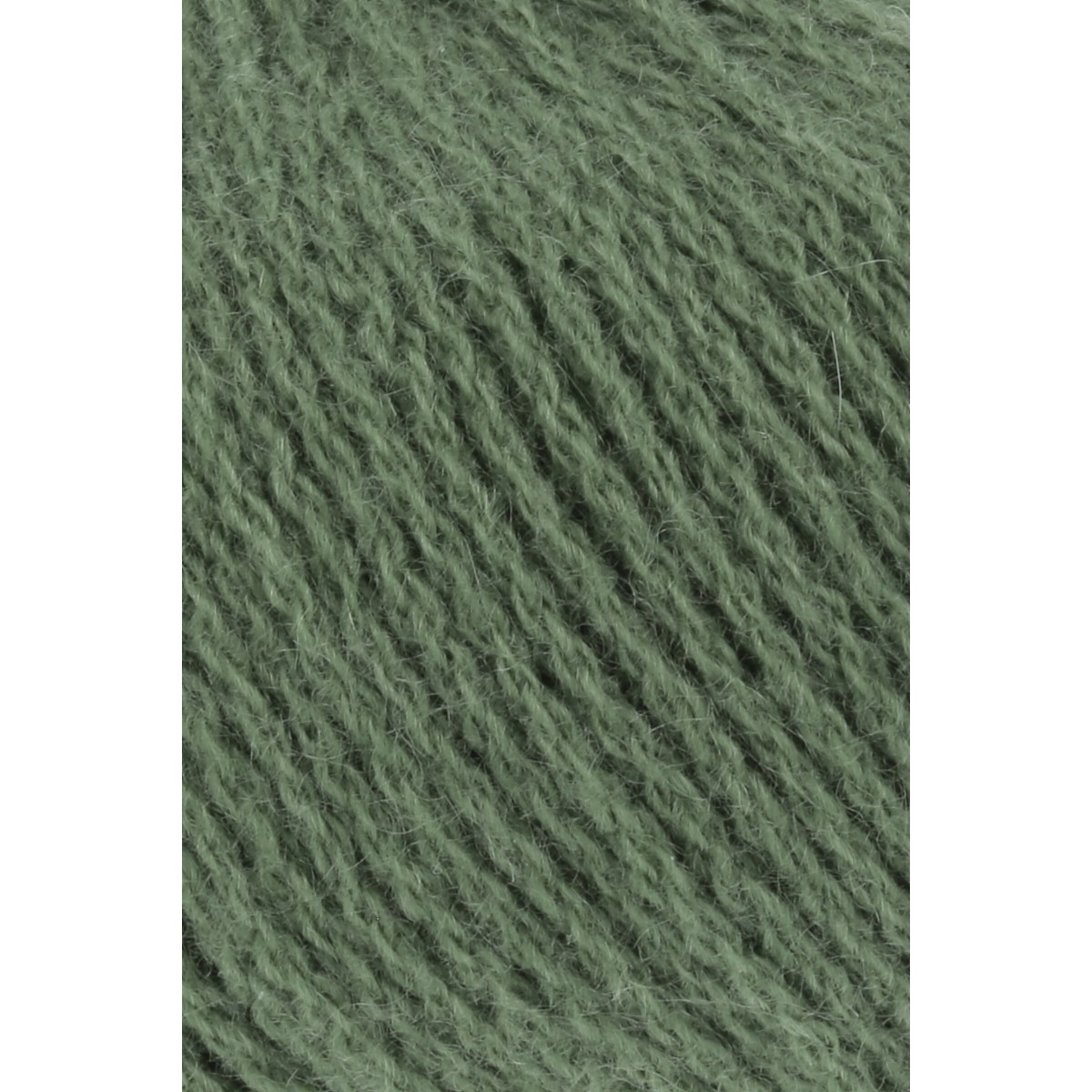 cashmere premium