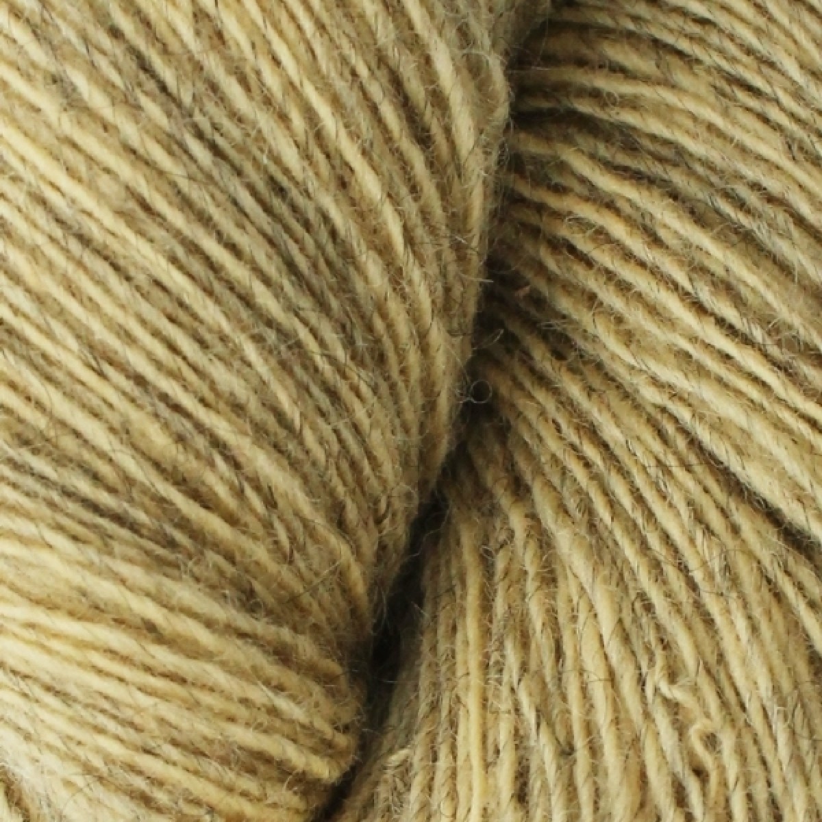 Spinni