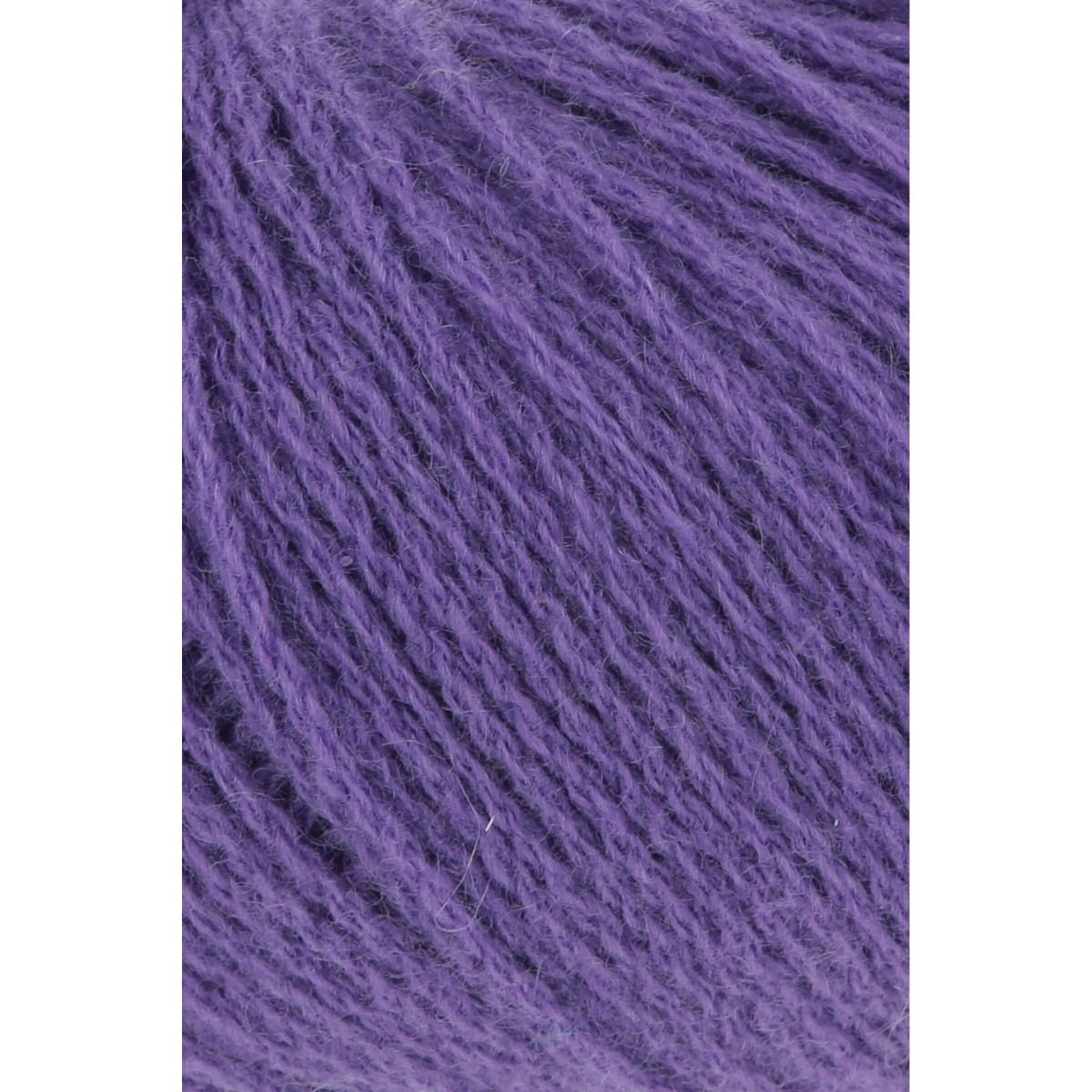 cashmere premium