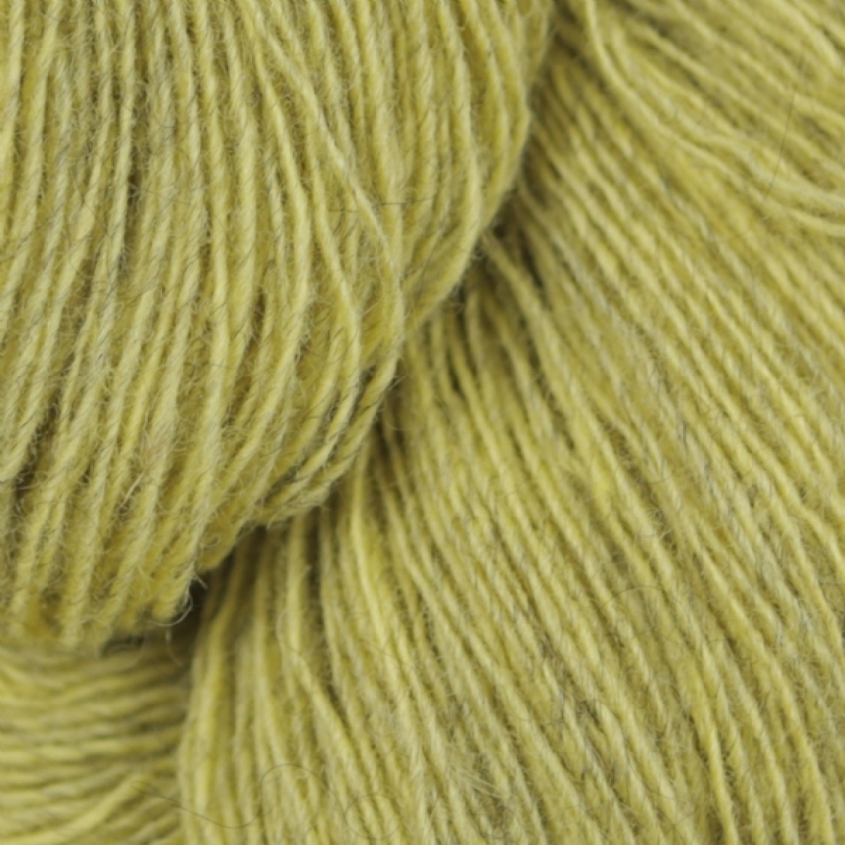 Spinni
