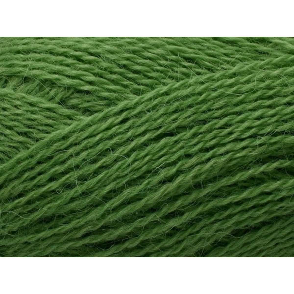 368 eucalyptus 