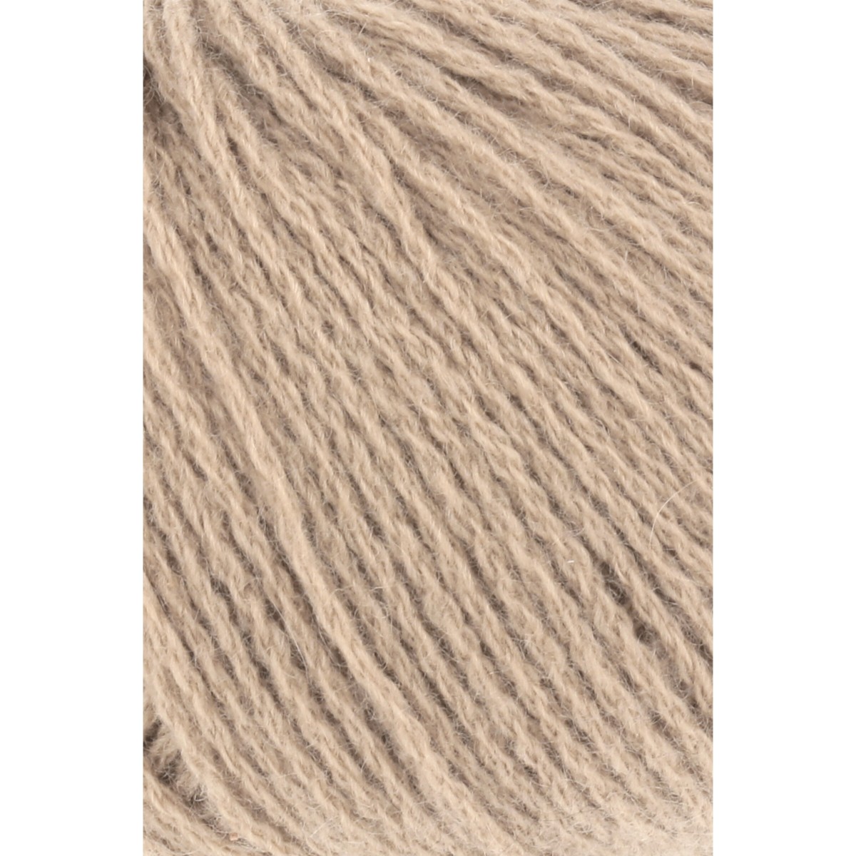 cashmere premium