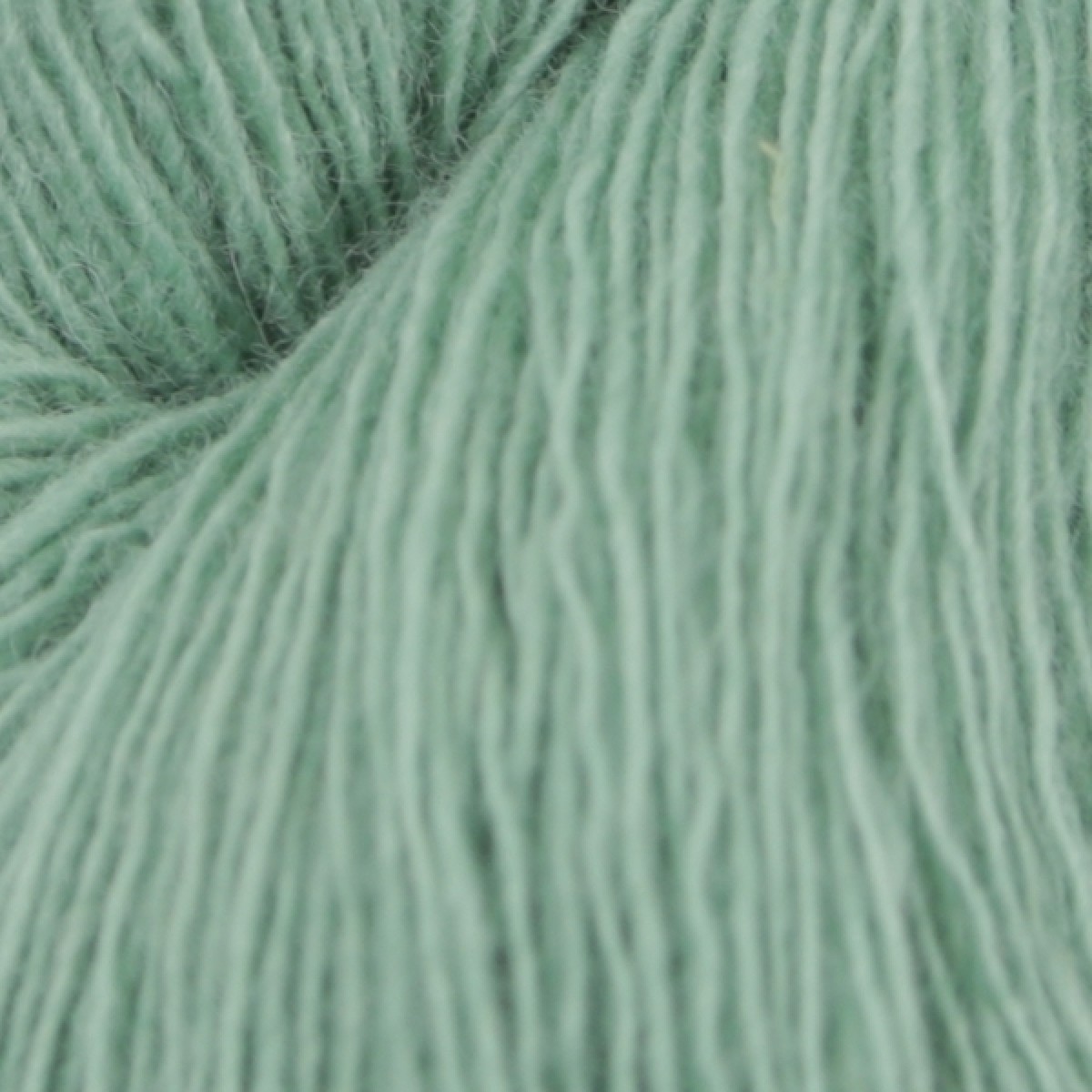 Spinni