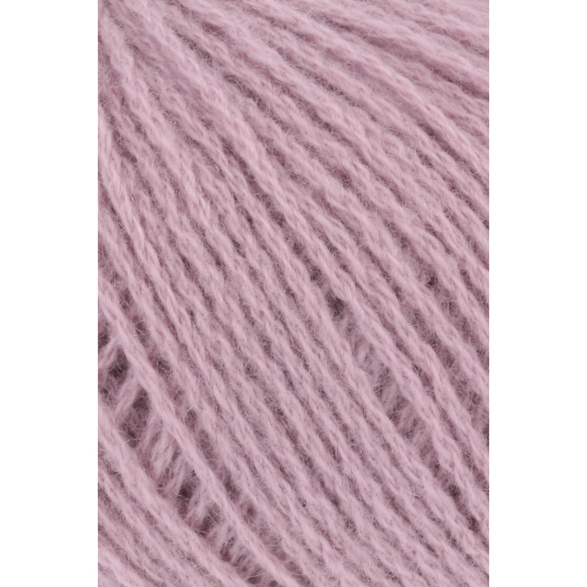 cashmere premium