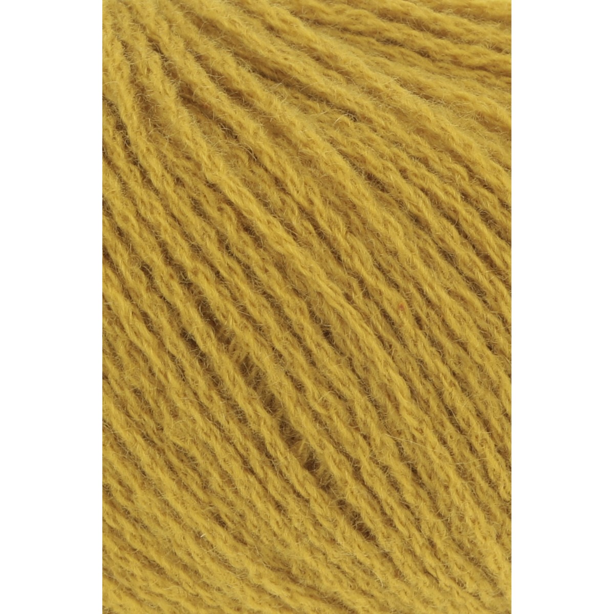 cashmere premium