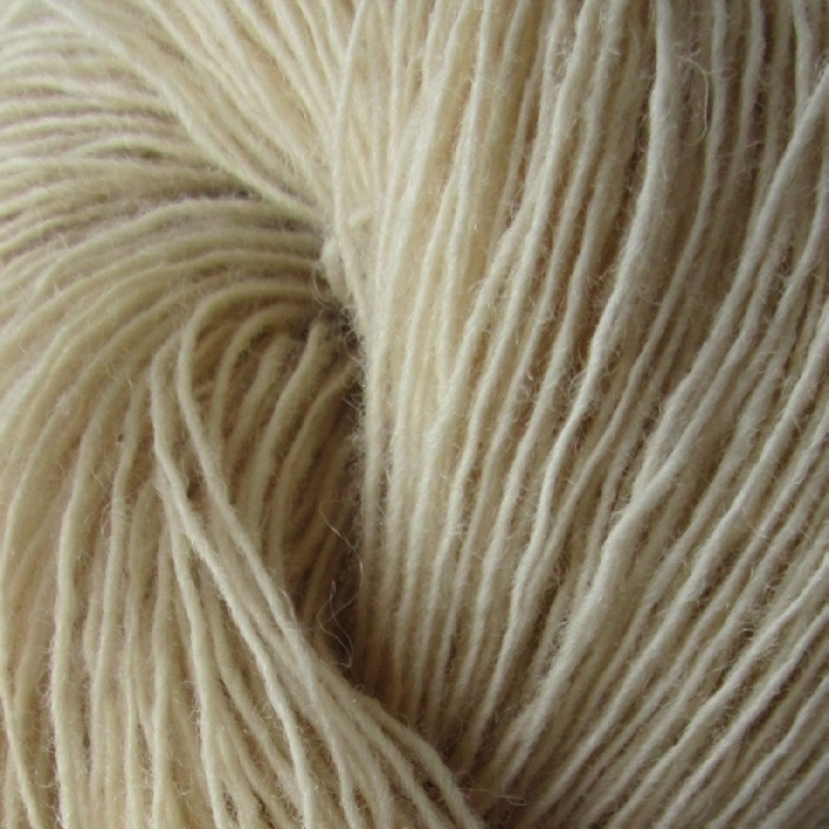 Spinni