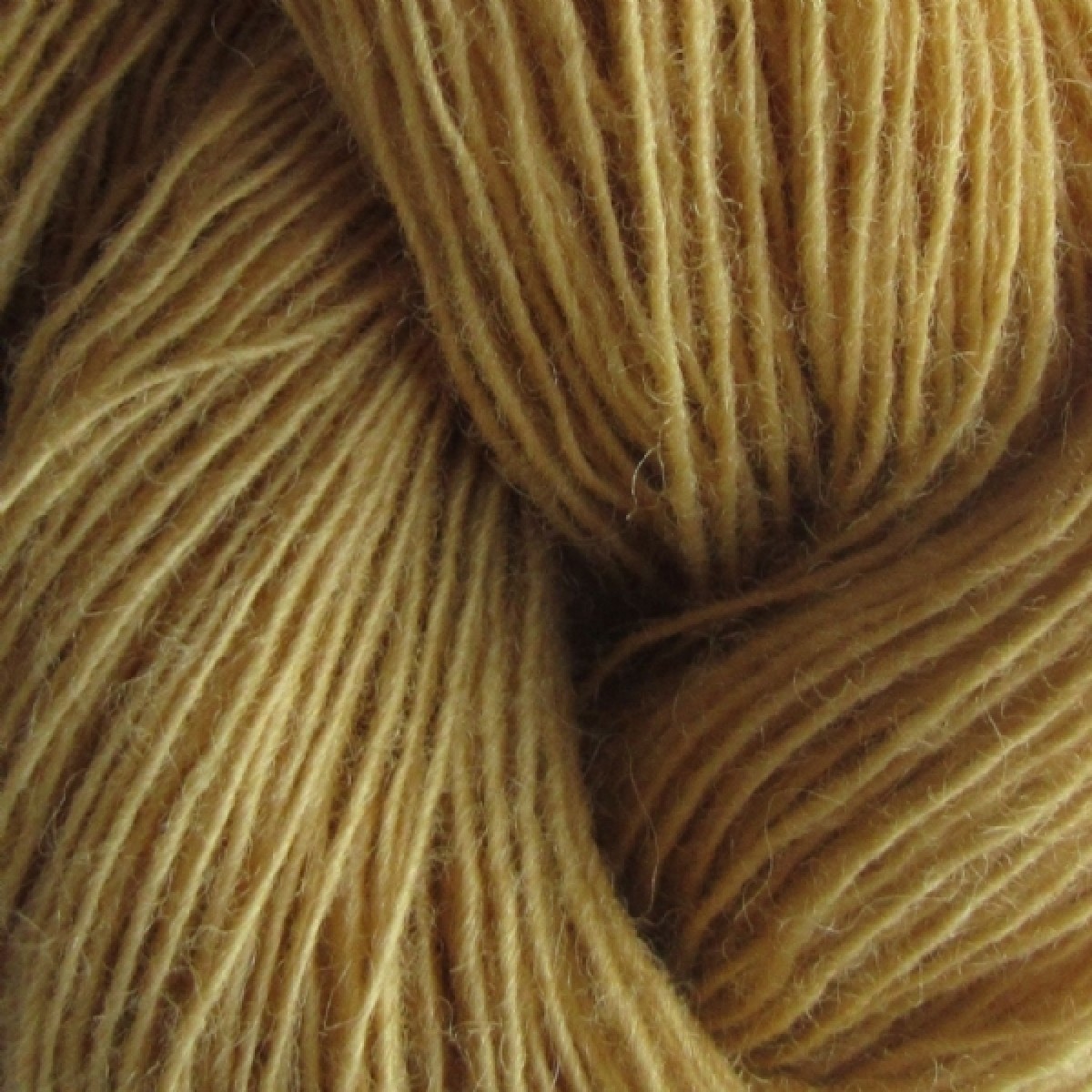 Spinni