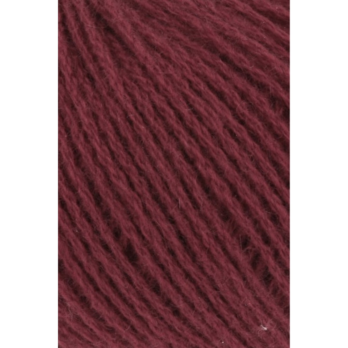 cashmere premium