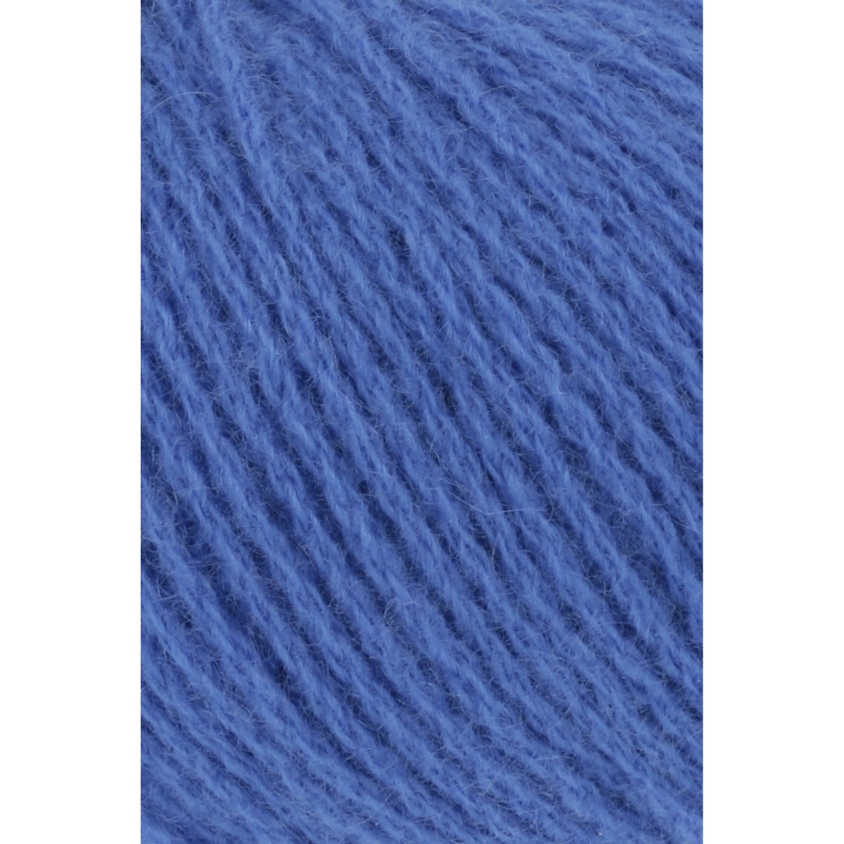 cashmere premium