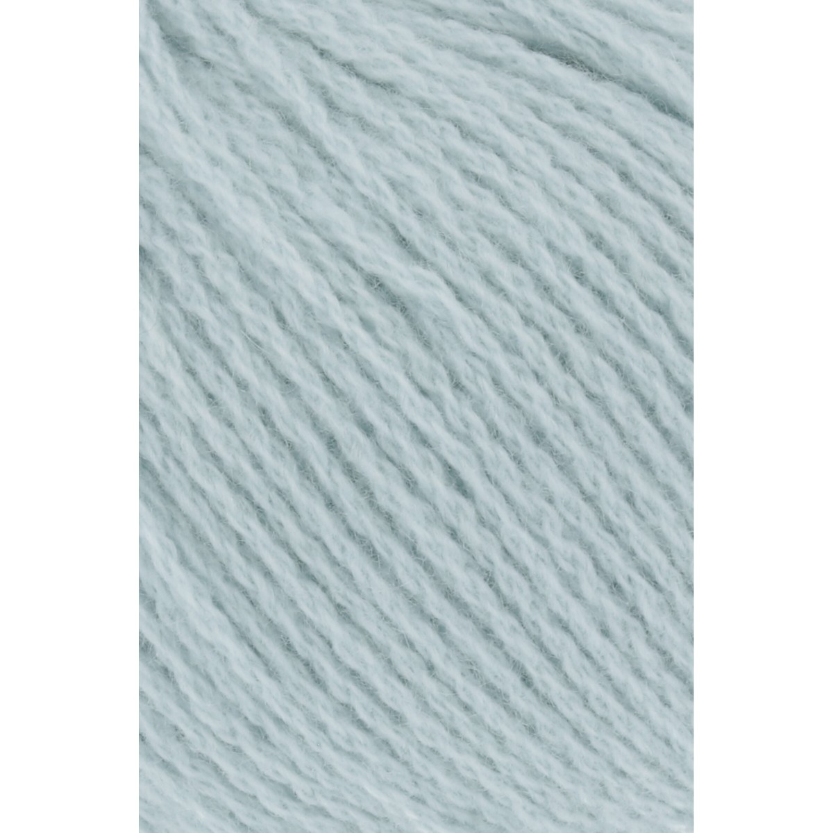 cashmere premium
