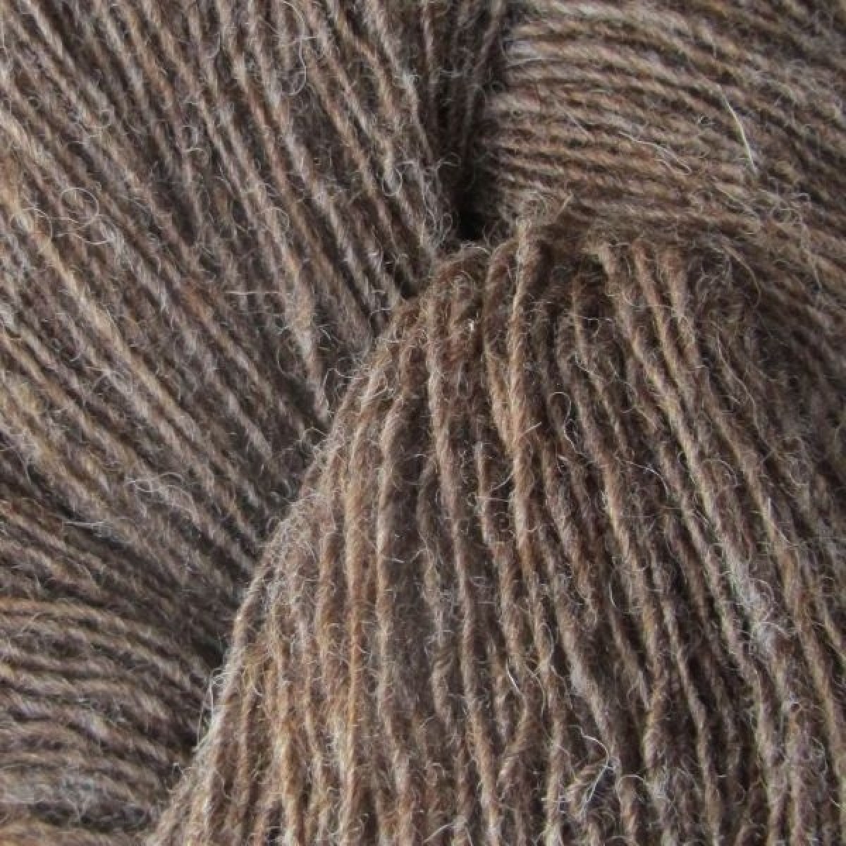 Spinni