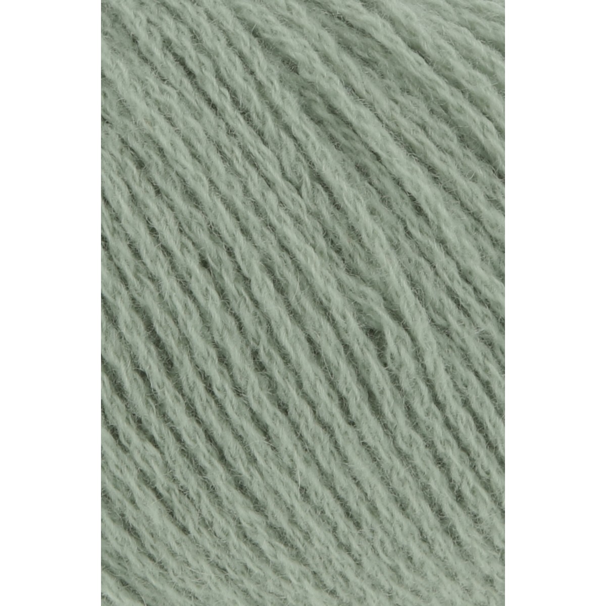 cashmere premium