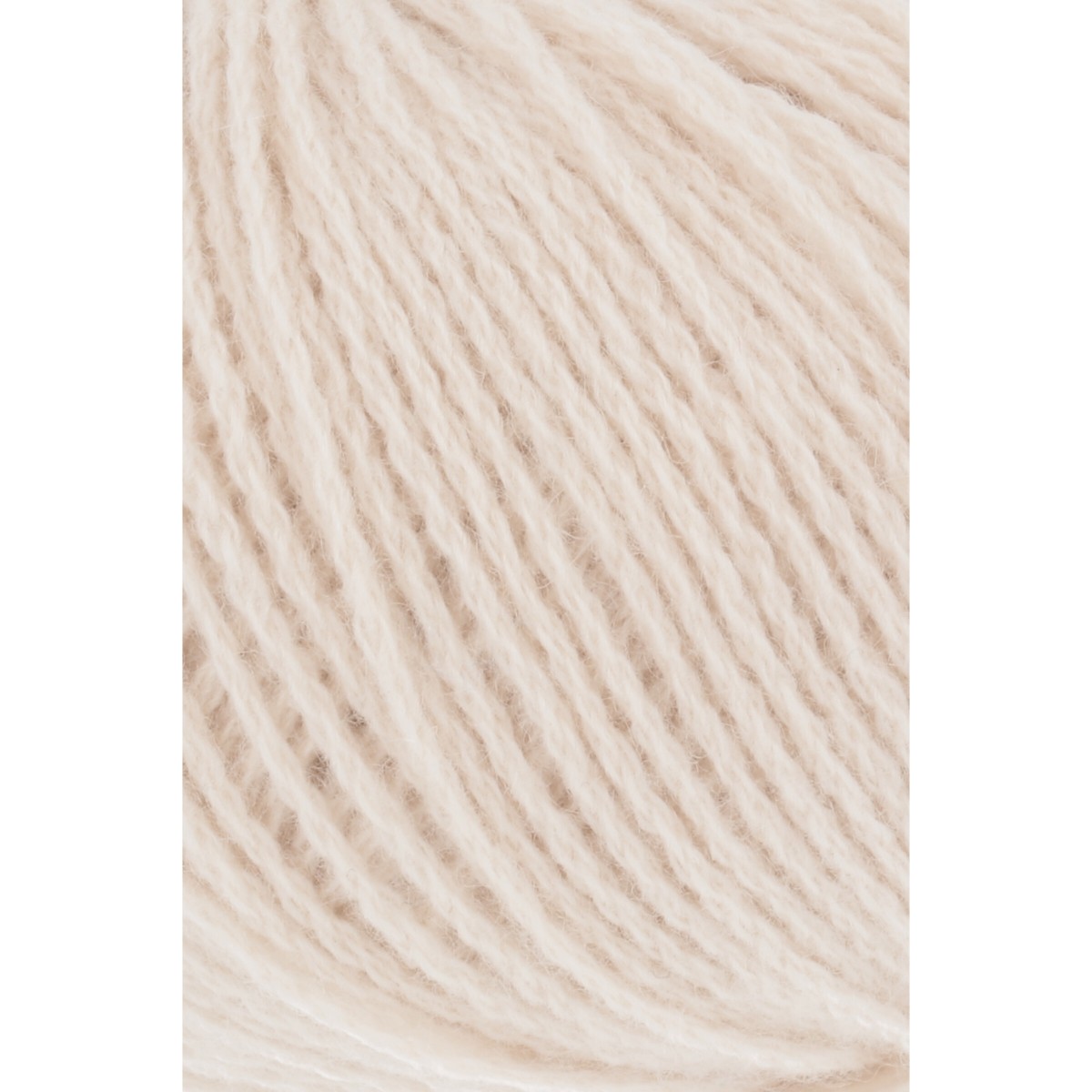 cashmere premium