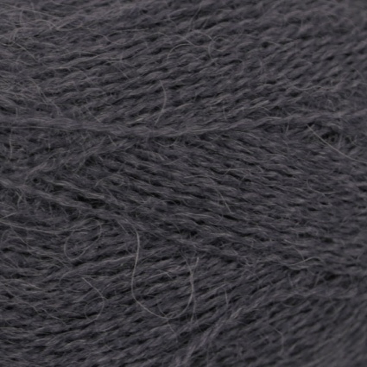 alpaca 1