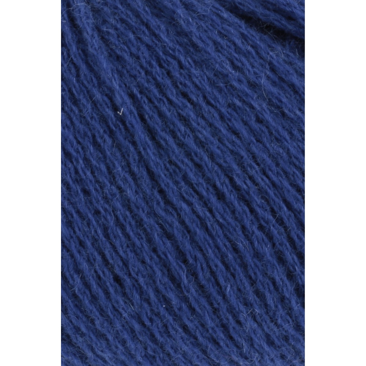 cashmere premium
