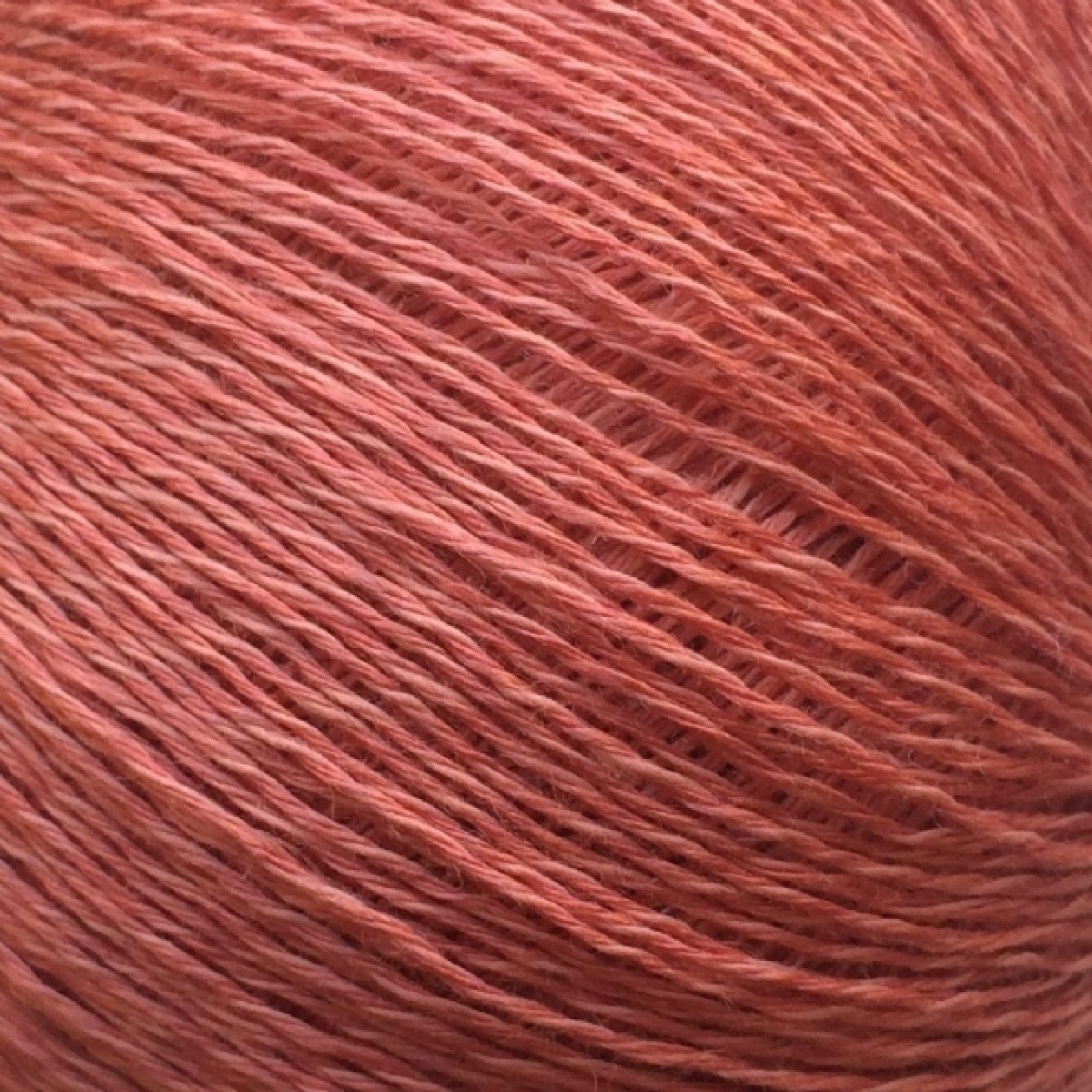 Trio1-399