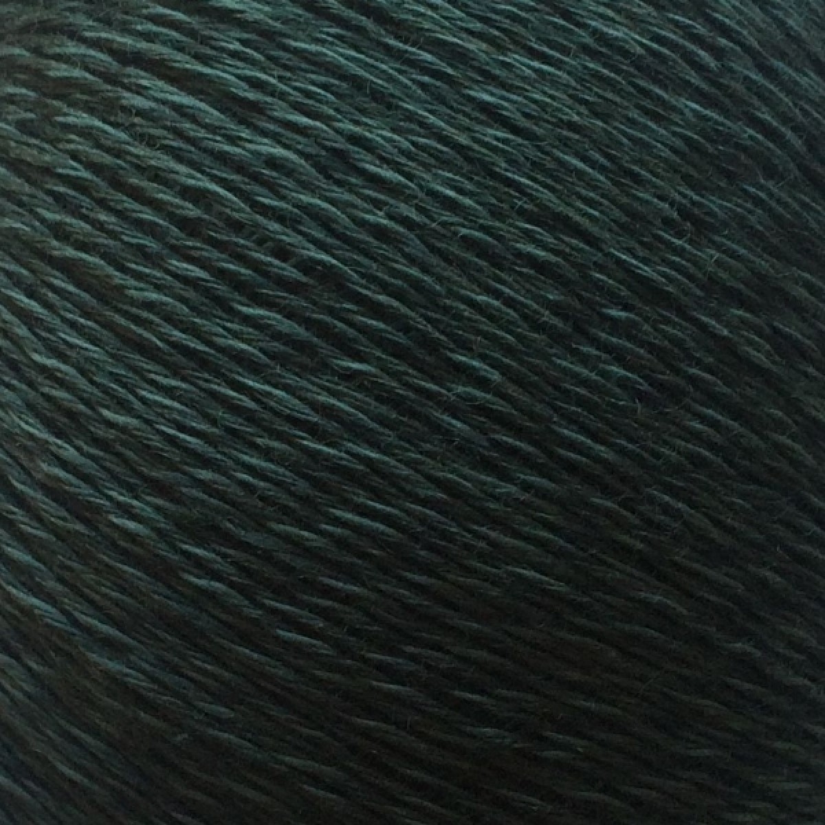 Trio1-399