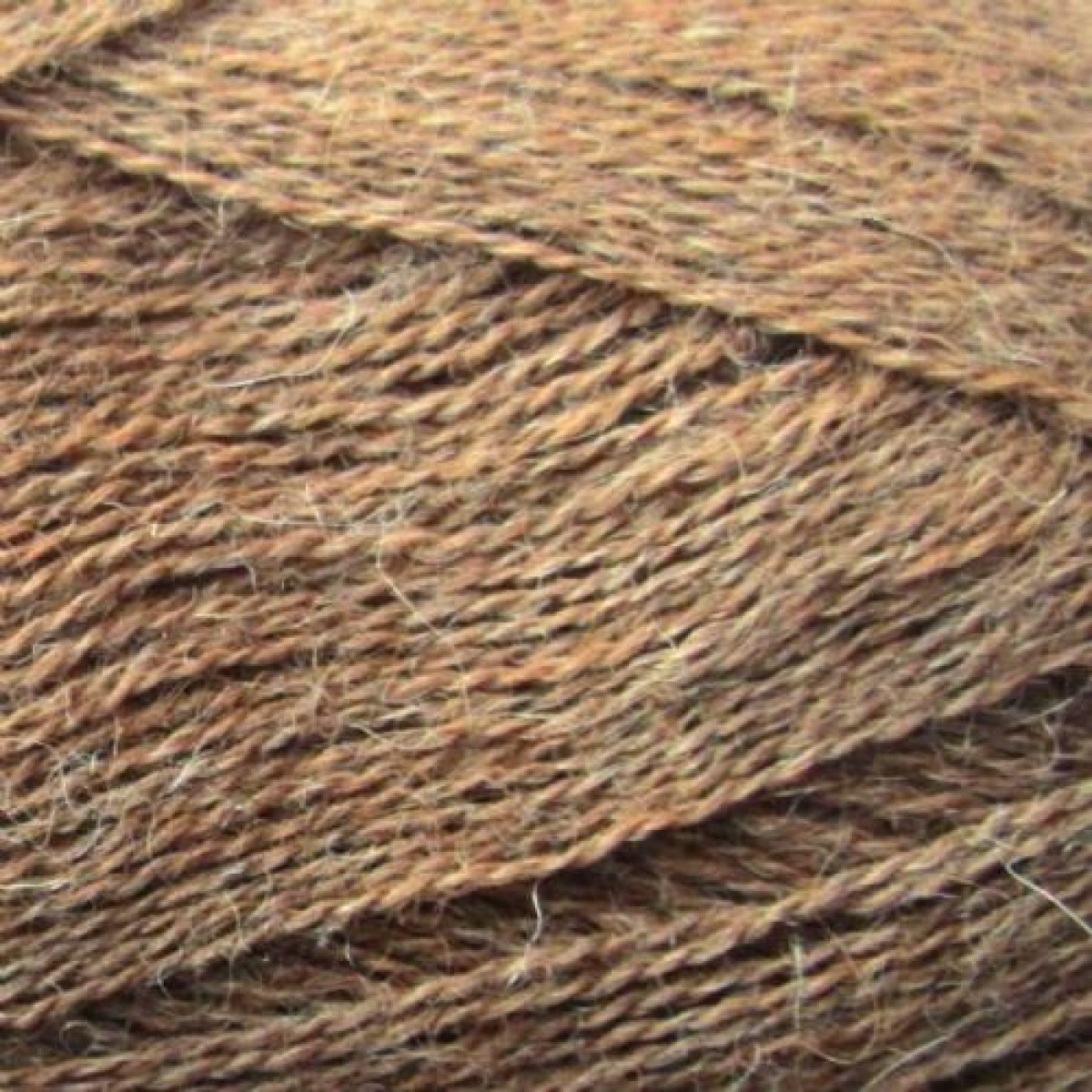 alpaca 1