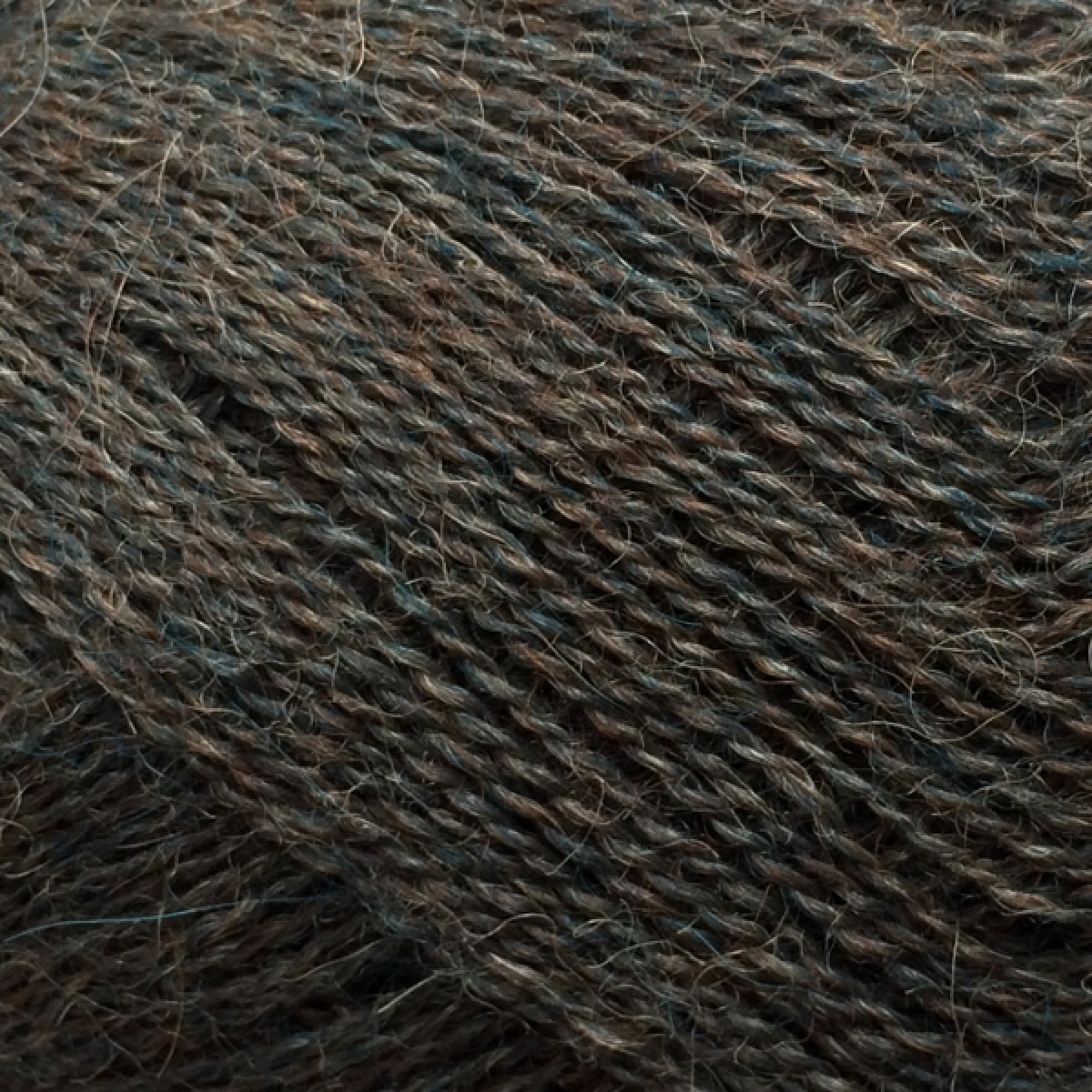 alpaca 1