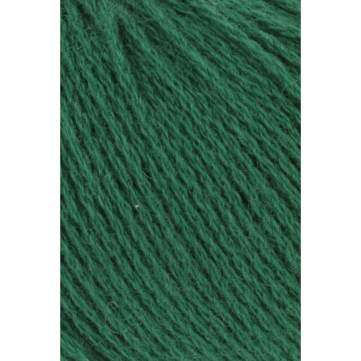 cashmere premium