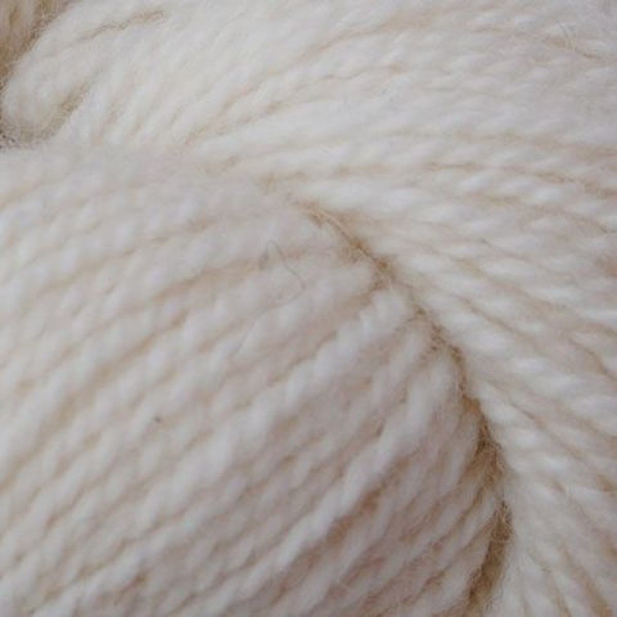 vinter raglan