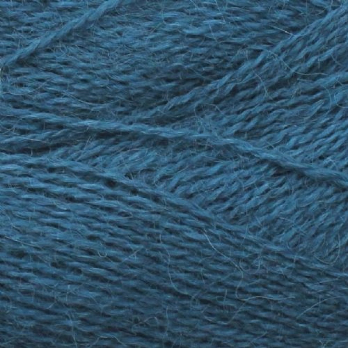 alpaca 1