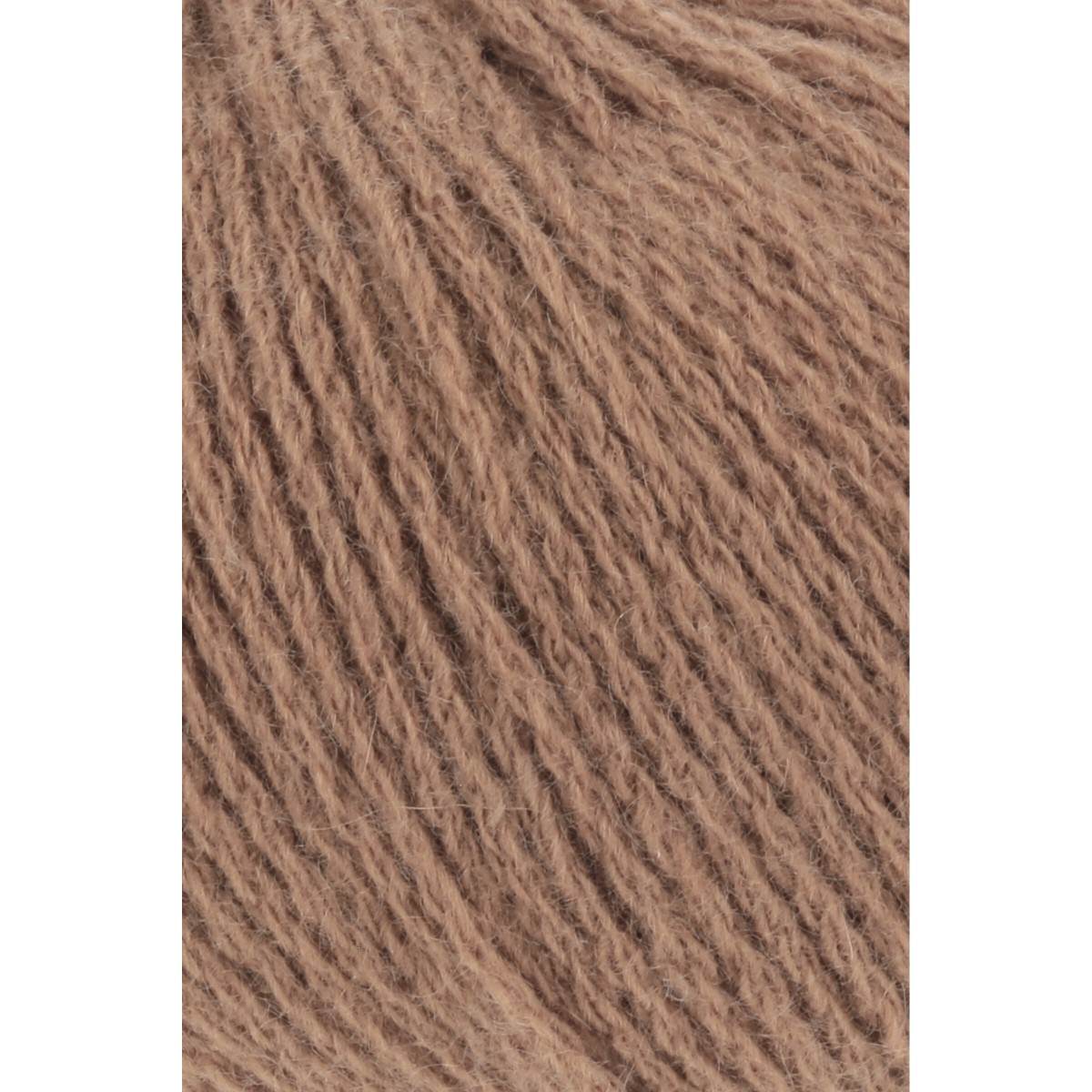 cashmere premium