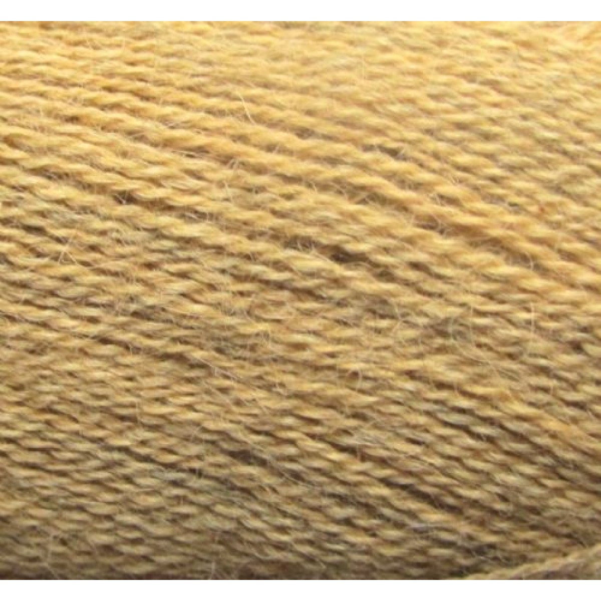 alpaca 1