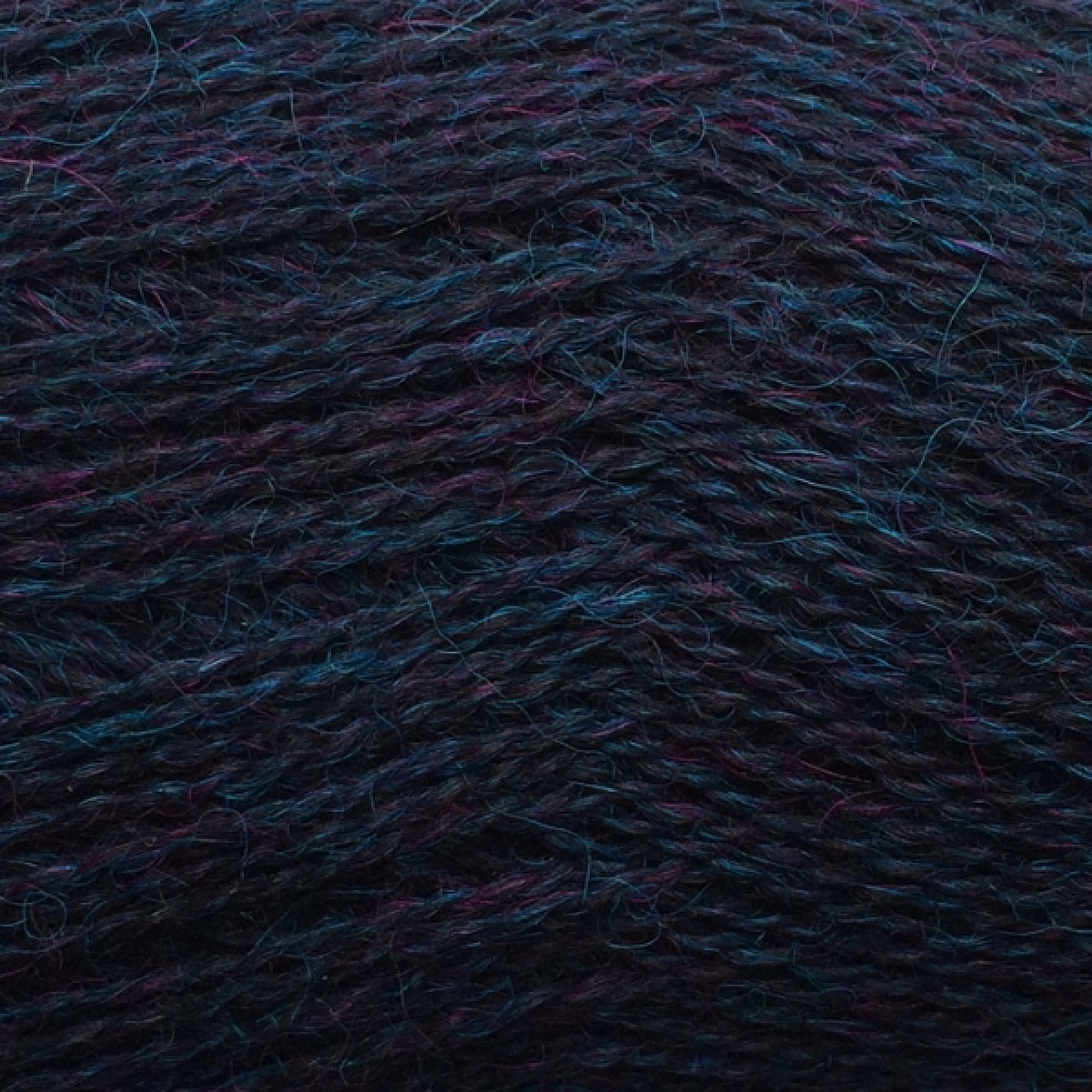 alpaca 1