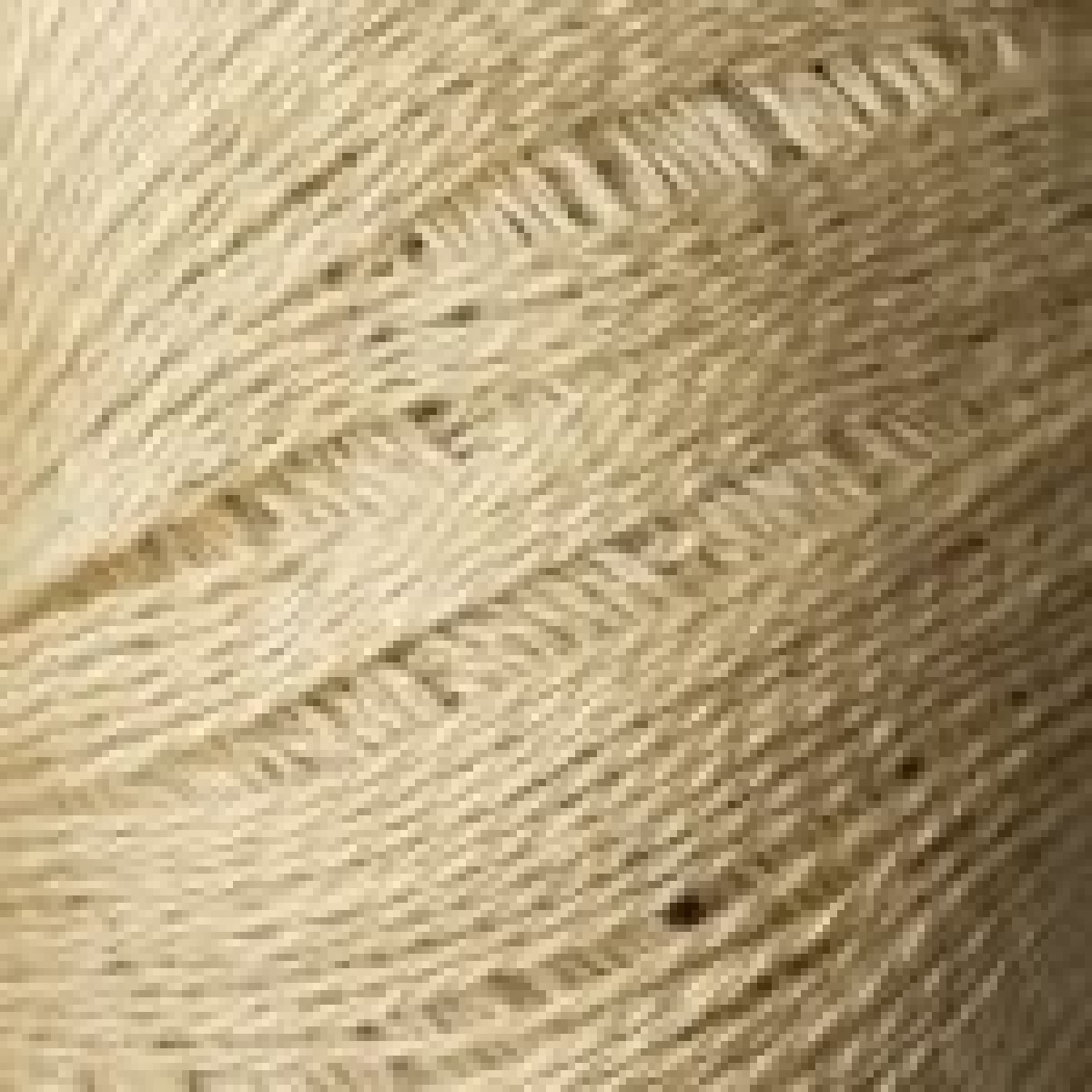 Mulberrysilk-399