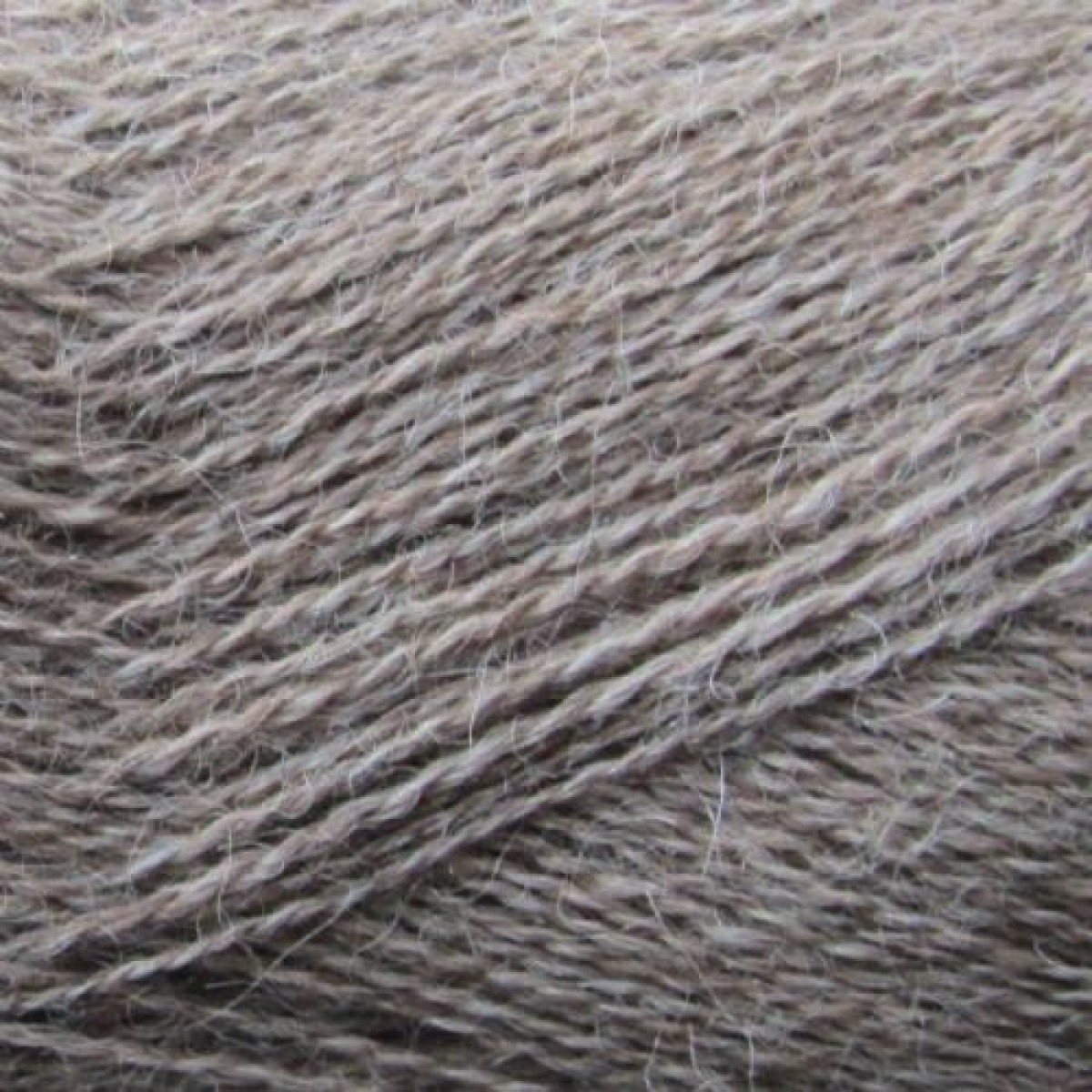 alpaca 1
