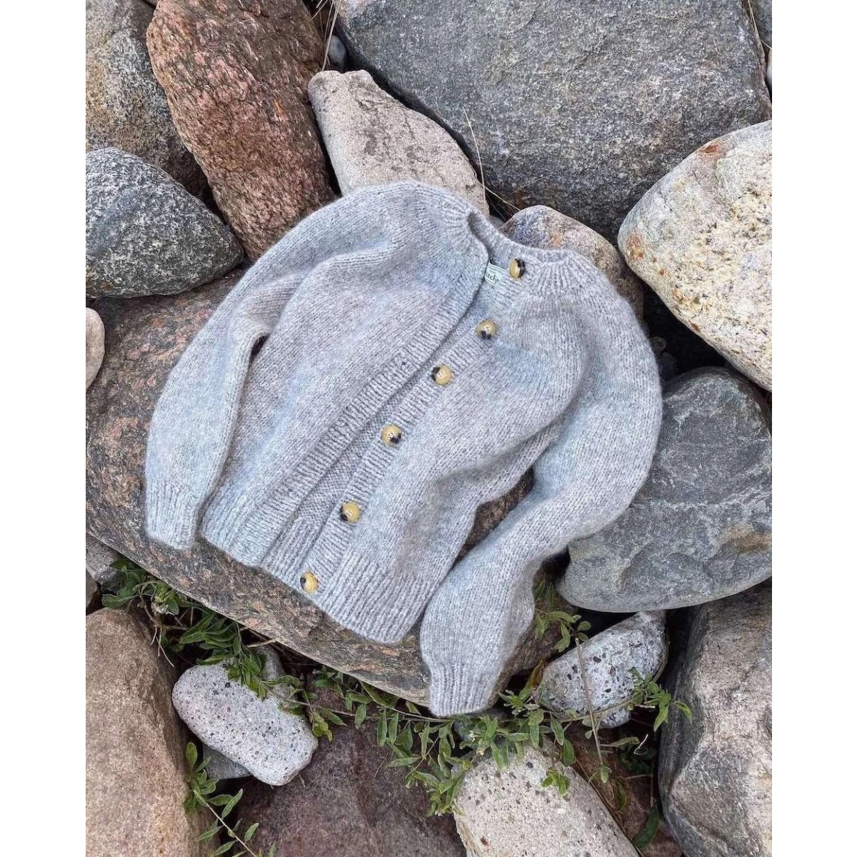 Novice Cardigan