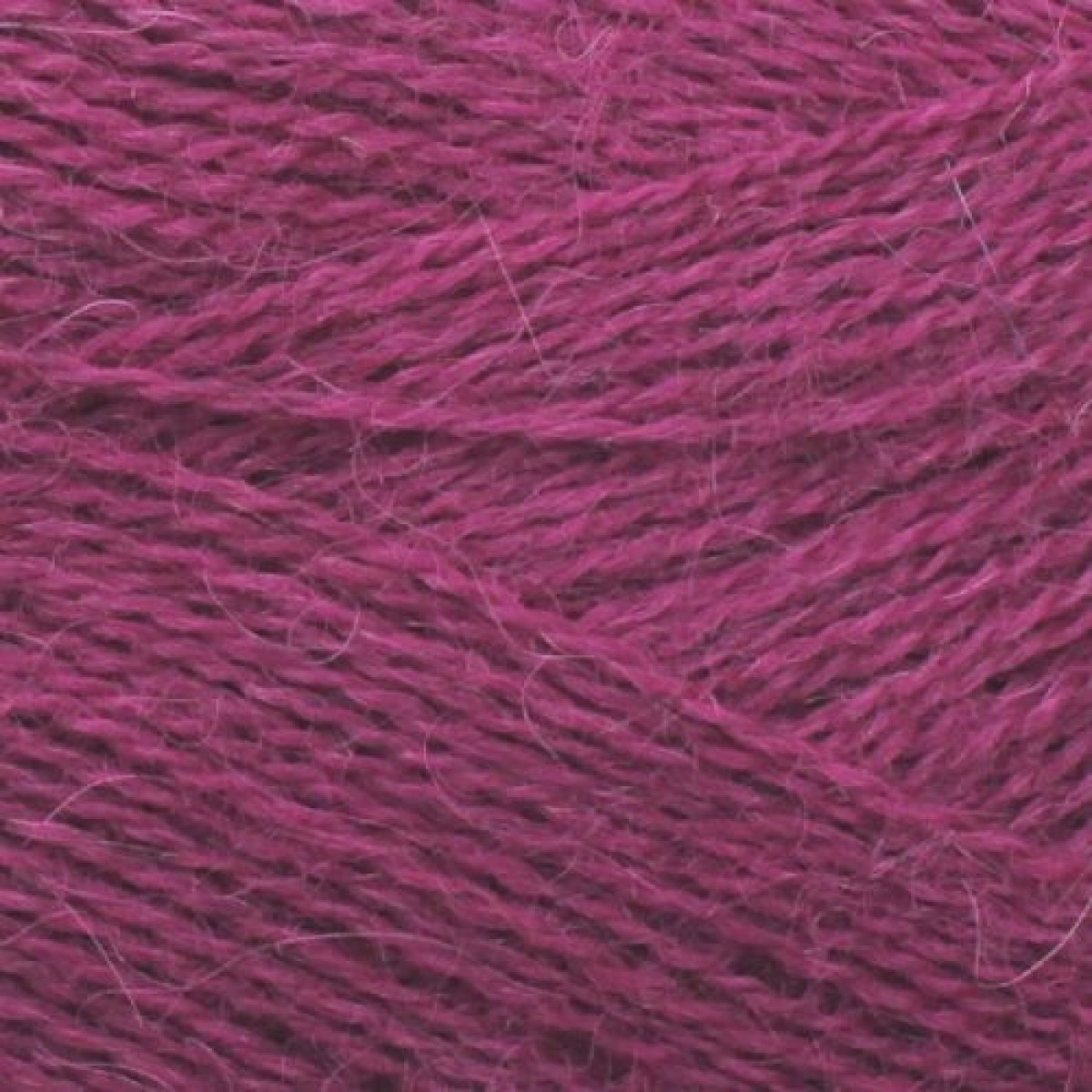 alpaca 1