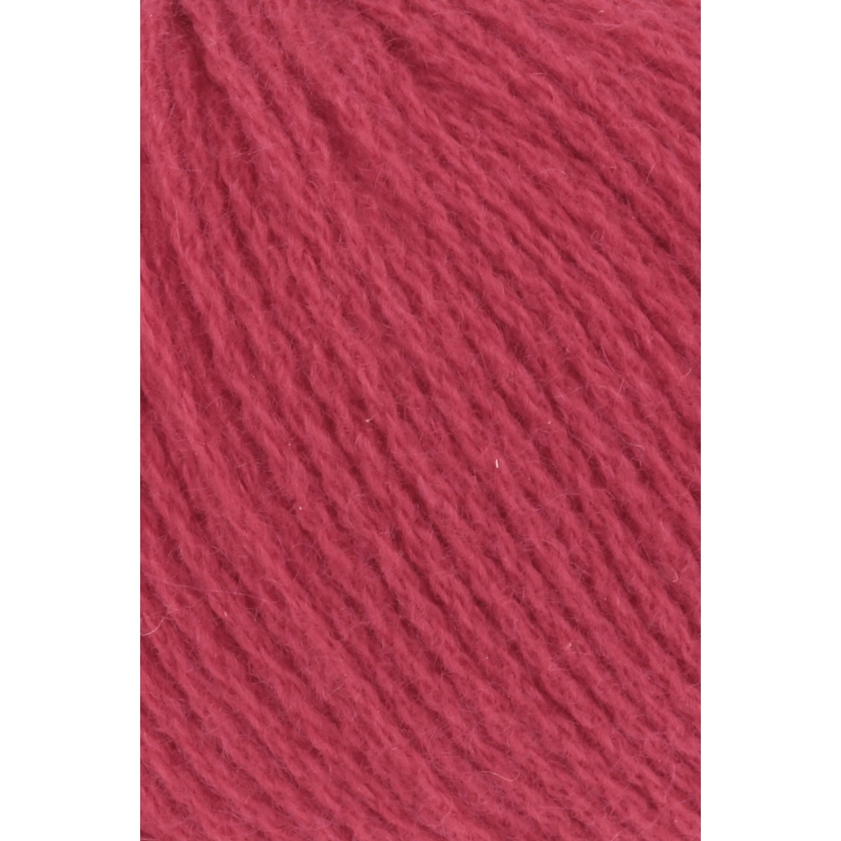 cashmere premium