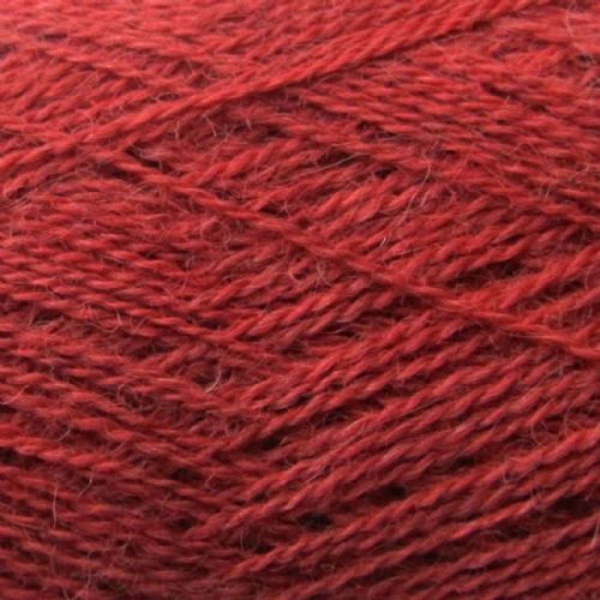 alpaca 1