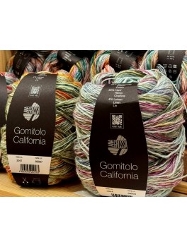 Hippie/ California